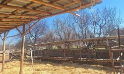 Sanal Medyada Gündem Olan Çiftlik Denetlendi