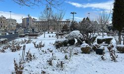 Sivas’ta Lapa Lapa Kar