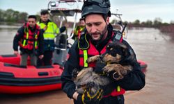 Bursa'da Sağanak Sonrası Mahsur Kalan İki Köpek Kurtarıldı