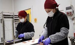 Sanayide Kadın Gücü: Hem Üretiyor Hem Aile Ekonomisine Katkı Sağlıyor