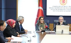 TBMM Karma Alt Komisyon Başkanlığına Behiye Eker Getirildi