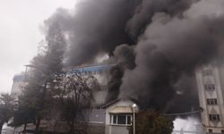 Trabzon’da Fındık Fabrikasında Korkutan Yangın