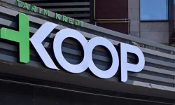 Tarım Kredi 4,7 Milyar TL'lik Zararı Yatırımlara Bağladı