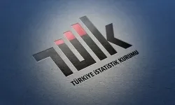 TÜİK Şubat Ayı Dış Ticaret İstatistiklerini Açıkladı