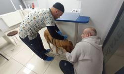 Metropol Veteriner'den Bayram Mesaisi