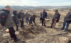 Yangında Hayatını Kaybeden 10 Şehit İçin Orman Yenileniyor