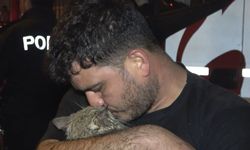 Dairede Mahsur Kalan Kedi 'Duman'ı İtfaiye Kurtardı