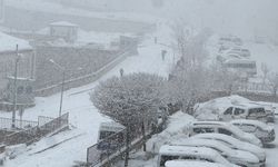 Yüksekova’da Kar Yağışı: Etkili Oldu