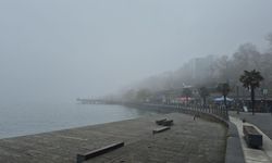 Zonguldak'ta Sis 5 Gündür Etkisini Sürdürüyor