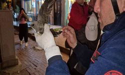 Zonguldak Ereğli'de Ebabil İçin Seferberlik: Yol Trafiğe Kapatıldı