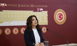 DEM Parti'li Koçyiğit'ten Yasal Düzenleme Çağrısı:Sürecin Geciktirilmesi Doğru Değil