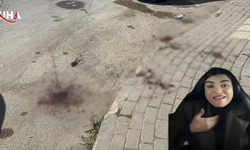 Sosyal Medya Fenomeni Sokak Ortasında Kadını Bıçakladı
