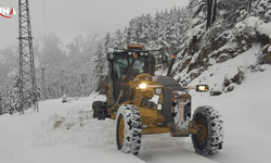 Erzurum, Kars ve Muş'ta 160 Köy Yolu Ulaşıma Kapandı