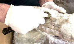 71 İlde Narkotik Operasyonu: 373 Şüpheli Tutuklandı