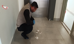 Adıyaman Besni’de Yürek Burkan Manzara: Yavru Kedi Cansız Halde Bulundu