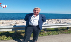 Kestiği Ağacın Altında Kaldı: Ağır Yaralandı