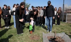 Yalova’dan Anıtkabir’e Manevi Köprü: Tarihi Çınarın Fidesi Dikildi