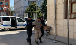 İstanbul Avcılar'da Köpeğe Kemerle Şiddet Uygulayan Şahıs Yakalandı