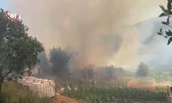 İstanbul Beykoz’da Orman Yangını: Havadan ve Karadan Müdahale Başladı