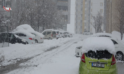 Bitlis'te Kar Geçit Vermedi: 82 Köy Yolu Kapandı