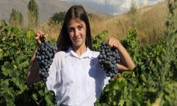 Dünya Mirası Lezzetler: Erzincan Tulumu Ve Cimin Üzümü