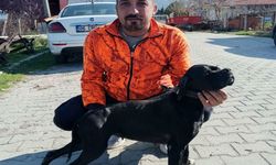 İZSU Çalışanı Çamur Dolu Çukurda Yaşamını Yitirdi