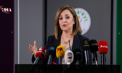 DEM Parti’li Doğan’dan Kritik Çağrı: Barış Meselesi Ertelenemez Bir Noktada