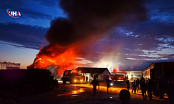 Edirne’de Kereste Fabrikasında Yangın Çıktı