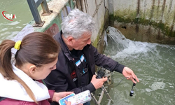 Galyan Deresi'nde Toplu Balık Ölümleri