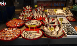 Tezgahlarda Çupra ve Levrek Modası Av Yasağı Kültür Balığına Yaradı