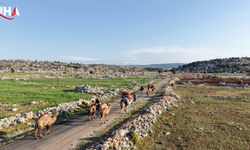 Anadolu’nun Son Göçerleri: 70 Bin Hayvanla Konya’ya Büyük Yürüyüş