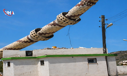 Diyarbakır'da Hasarlı Cami Minaresi Kontrollü Şekilde Yıkıldı