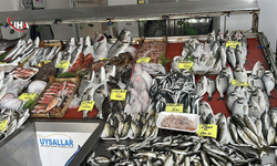 Hızlı Avlanma Yüzünden Balık Para Etmiyor