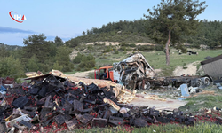 Mersin'de Freni Boşalan TIR Ağaca Çarparak Durabildi