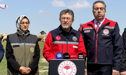 Bakan Yumaklı: 95 Dişi, 5 Erkek Küçükbaş Hayvan Vereceğiz