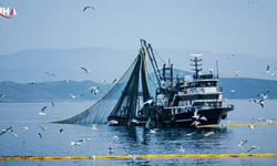 Denizlerde Av Yasağı Başlıyor