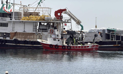 Tekirdağlı Balıkçılar Sezonu Mutlu Kapattı