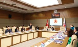 Kamu Denetçisi Benli: Kadınları Öldüren Erkeklerin Yüzde 73'ünün Sabıkası Var