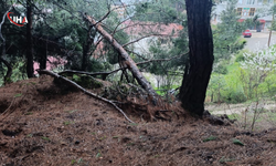 Tokat'ta Toprak Kayması: 15 Daire Tahliye Edildi