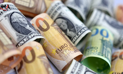 Piyasalarda "Euro" Atak yaptı: Dolar 45 TL Sınırına Yerleşti