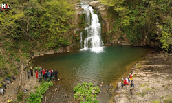 Bartın'da Saklı Cennet: Gölderesi Şelalesi İlkbaharı Karşılıyor
