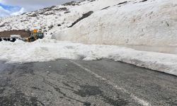 Hakkari-Şırnak Kara Yolu Çığ Düşmesi Nedeniyle Kapatıldı