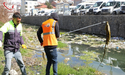 İnci Kefali İçin Temizlik Seferberliği: 2 Ton Atık Toplandı