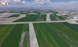 Konya Ovası’nda Bereket Yılı: Hububatta 500 Bin Tonluk Dev Artış Bekleniyor