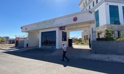 Kaçan İneğinin Peşinden Koşarken Canından Oldu