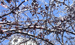 Kars’ta Kar Yağışı Etkili Oldu: Kartpostallık Manzaralar