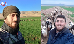 Mardin’deki Çoban Cinayetinde Adalet Yerini Buluyor: 5 Şüpheli Cezaevine Gönderildi