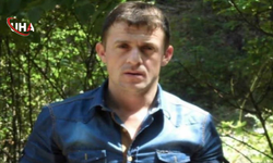 Tomruk İstifi Devrildi: Talihsiz İşçi Hayatını Kaybetti