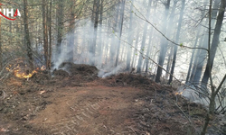Aydın’daki Orman Yangını Kontrol Altına Alındı