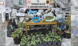 Kaçak Elektrikle Yasaklı Madde Üretilen Eve Operasyon